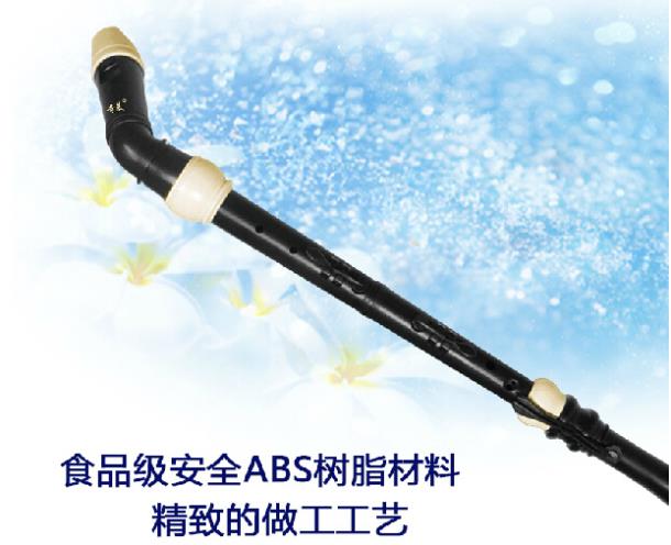 Professional 8 หลุม Baroque Ba - Recorder Baroque Style บทวิจารณ์และราคา
