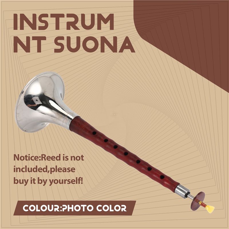 A12E-เครื่องดนตรีพื้นบ้านจีน ซ - Musical Instrument Zurna บทวิจารณ์และราคา