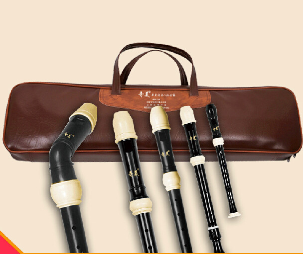 ชุดเครื่องดนตรีฟลุต คลาริเน็ต  - Recorder Baroque Style บทวิจารณ์และราคา